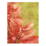 Weathered Watercolor Red Flowers Postcard