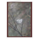 web greeting cards