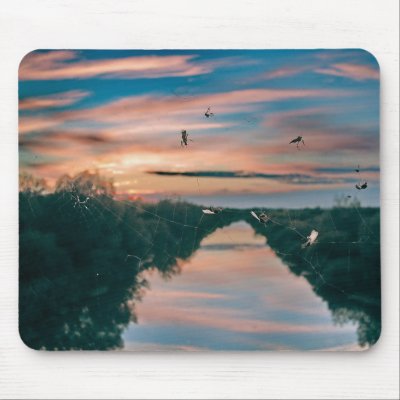 Web Mouse Mat by patrickrp