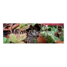 Web of Dewdrops; Merry Christmas Business Cards