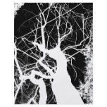 WEBBY TREE BLACK AND WHITE NEGATIVE FLYERS