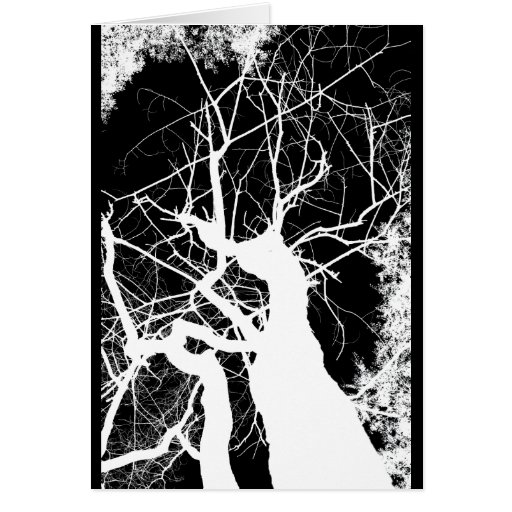 WEBBY TREE BLACK AND WHITE NEGATIVE GREETING CARD