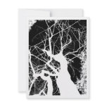 WEBBY TREE BLACK AND WHITE NEGATIVE ANNOUNCEMENTS