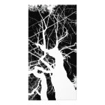 WEBBY TREE BLACK AND WHITE NEGATIVE PICTURE CARD