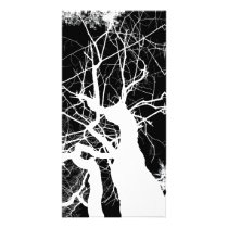 WEBBY TREE BLACK AND WHITE NEGATIVE PICTURE CARD