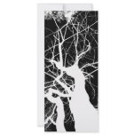 WEBBY TREE BLACK AND WHITE NEGATIVE rack cards