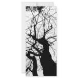 WEBBY TREE BLACK AND WHITE rack cards