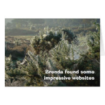 Websites card