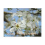 Wedding Announcement Marriage Save the Date cards Postcards
