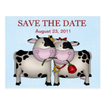 Wedding Cows Save the Date Postcard