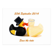 Wedding ducks 2 ... Postcard