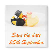 Wedding ducks ... Magnet