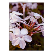 Wedding Flower Card