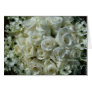 Wedding Flowers  Greeting Cards
