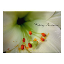Wedding invitation - stationery - floral - lilly