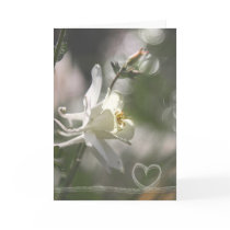 Wedding-Love Grußkarten