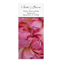 Wedding Program - Pink Rose Card Custom Rack Card