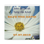 WEDDING Save the Date! magnet gift White Daisies