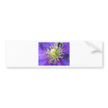 Wedding Stationery bumper stickers