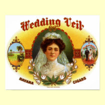 Wedding Veil posters