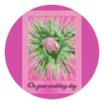 Wedding Wishes Pink Climbing Rose Bud Sticker
