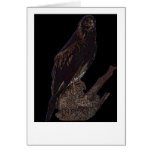 Wedgetail eagle card