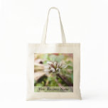Weed Flower - Bittercress bags