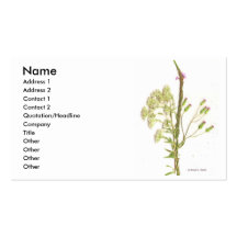 Weeds , a scan of Florida wildflowers Business Card Template