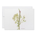 Weeds , a scan of Florida wildflowers invitations