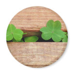 Weeds and Wood magnets