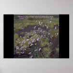 Weeds are flowers too posters