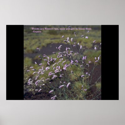 Weeds are flowers too poster by corvus