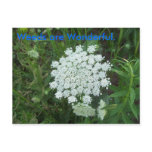 Weeds are Wonderful. postcards