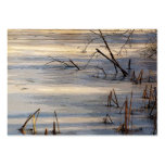 Weeds in Ice ATC Business Card