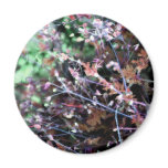 Weeds in Red and Green magnets