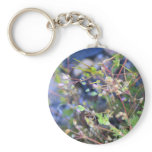 Weeds keychains