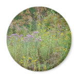 Weeds Magnets