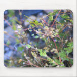 Weeds mousepads