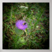 Weedy Bee Poster