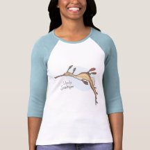 Weedy Seadragon Ladies T-Shirt