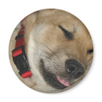 Weekend Dexter Bebe Magnet