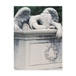 Weeping Angel Postcard
