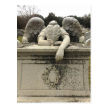 Weeping Angel Postcard