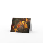 Weeping Autumn Note Card