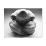 Weeping Buddha postcards