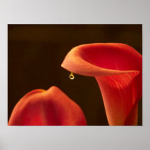 Weeping Callas 2 Posters