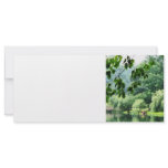 Weeping Willow in the Mist rack cards