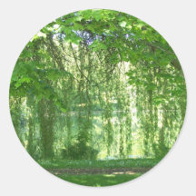 Weeping Willows with Pond Stickers