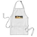 weetDreams aprons