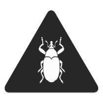 Weevil
